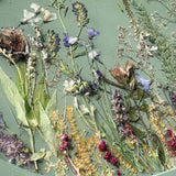 Botanical Wall Art - Whispering Meadows #3 Handmade Resin Wall Art