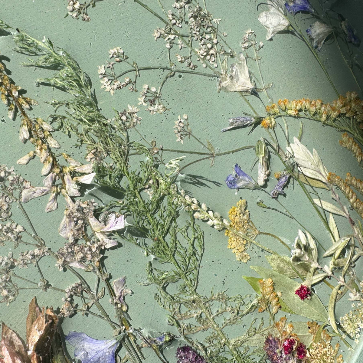Botanical Wall Art - Whispering Meadows #3 Handmade Resin Wall Art