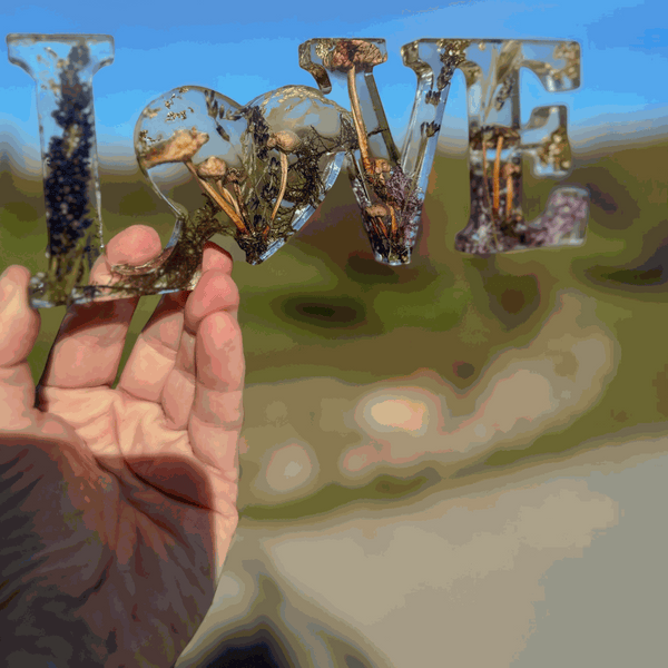 Boreal Mushroom LOVE Word Art | Resin Mushroom Decor