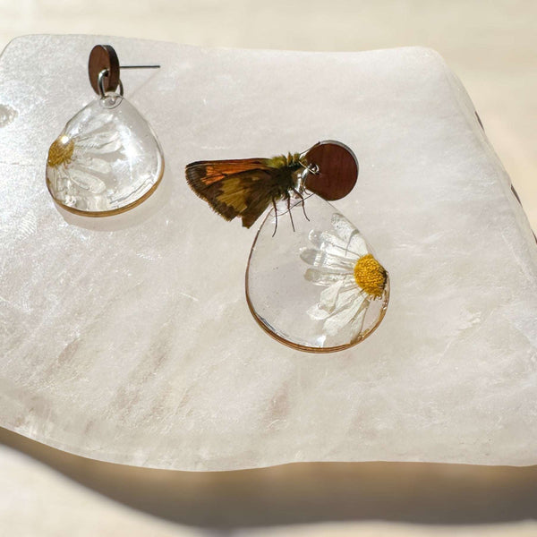 Daisy Dreams - Handmade Pressed Daisy Flower Resin Earrings