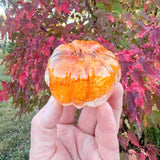 Pumpkin Patch - Handmade Botanical Resin Pumpkins with Copper Stems