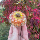 Pumpkin Patch - Handmade Botanical Resin Pumpkins with Copper Stems