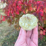 Pumpkin Patch - Handmade Botanical Resin Pumpkins with Copper Stems