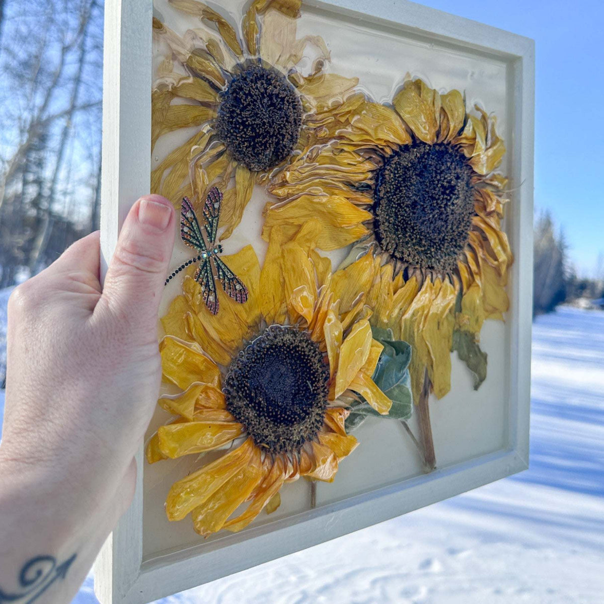 Sunflower Wall Art - Handmade with Real Sunflowers set in Resin