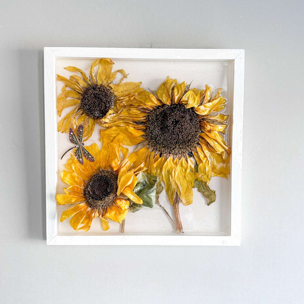 Sunflower Wall Art - Handmade with Real Sunflowers set in Resin