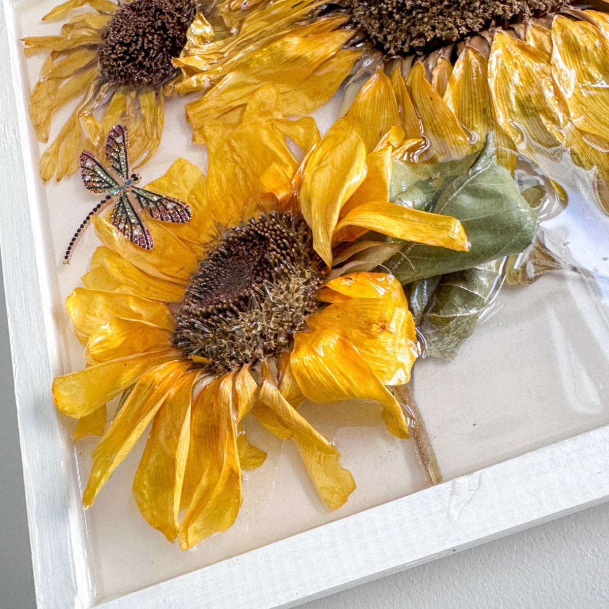 Sunflower Wall Art - Handmade with Real Sunflowers set in Resin