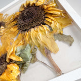 Sunflower Wall Art - Handmade with Real Sunflowers set in Resin