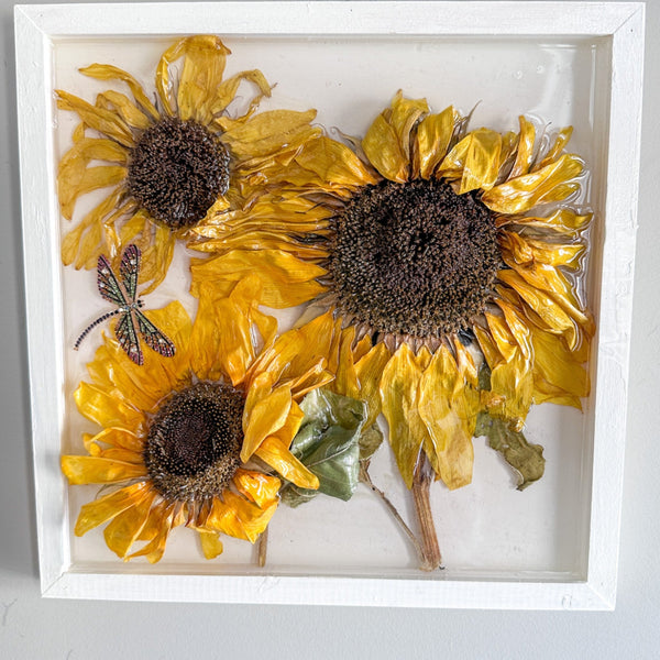 Sunflower Wall Art - Handmade with Real Sunflowers set in Resin