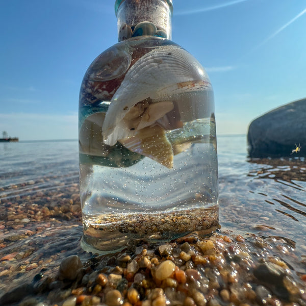 Ocean in a Bottle Home Decor Seashell Resin Night Light 