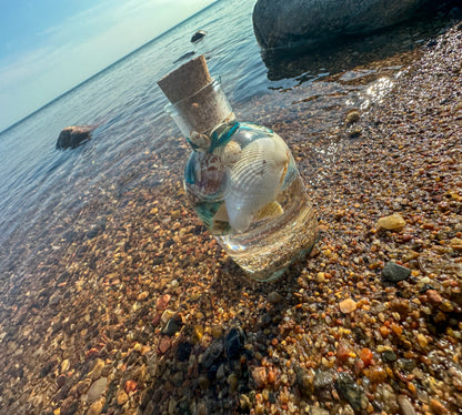 Ocean in a Bottle Home Decor Seashell Resin Night Light 