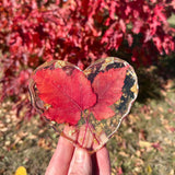 Canadian Maple Leaf Heart Coasters – Resin Decor with Gold Leaf Accent