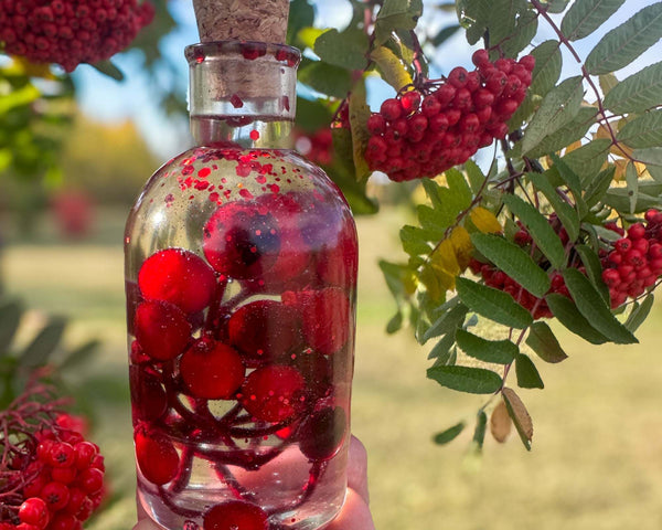 Berry Magic in a Bottle -Sparkling Red Berry Handmade Decor with Light