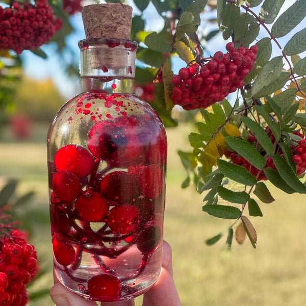 Berry Magic in a Bottle -Sparkling Red Berry Handmade Decor with Light