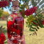 Berry Magic in a Bottle -Sparkling Red Berry Handmade Decor with Light