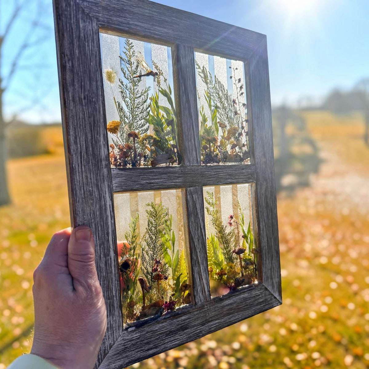 Boreal Window No. 1 | Boreal Forest Window Art with Mushrooms