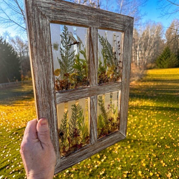 Boreal Window No. 1 | Boreal Forest Window Art with Mushrooms