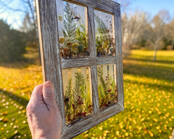 Boreal Window No. 1 | Boreal Forest Window Art with Mushrooms