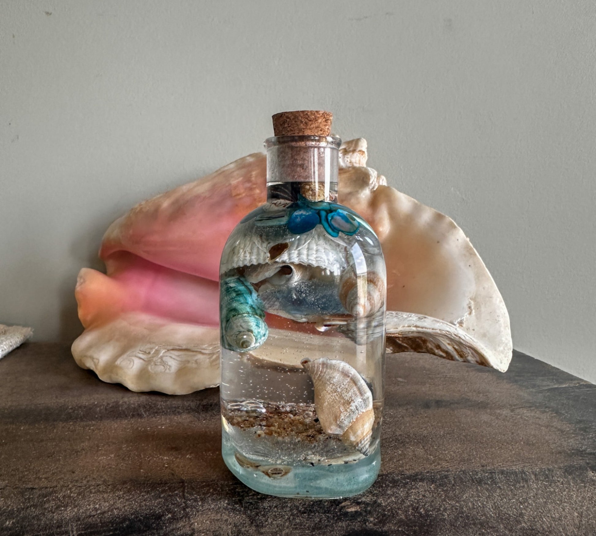 Ocean in a Bottle Home Decor Seashell Resin Night Light 