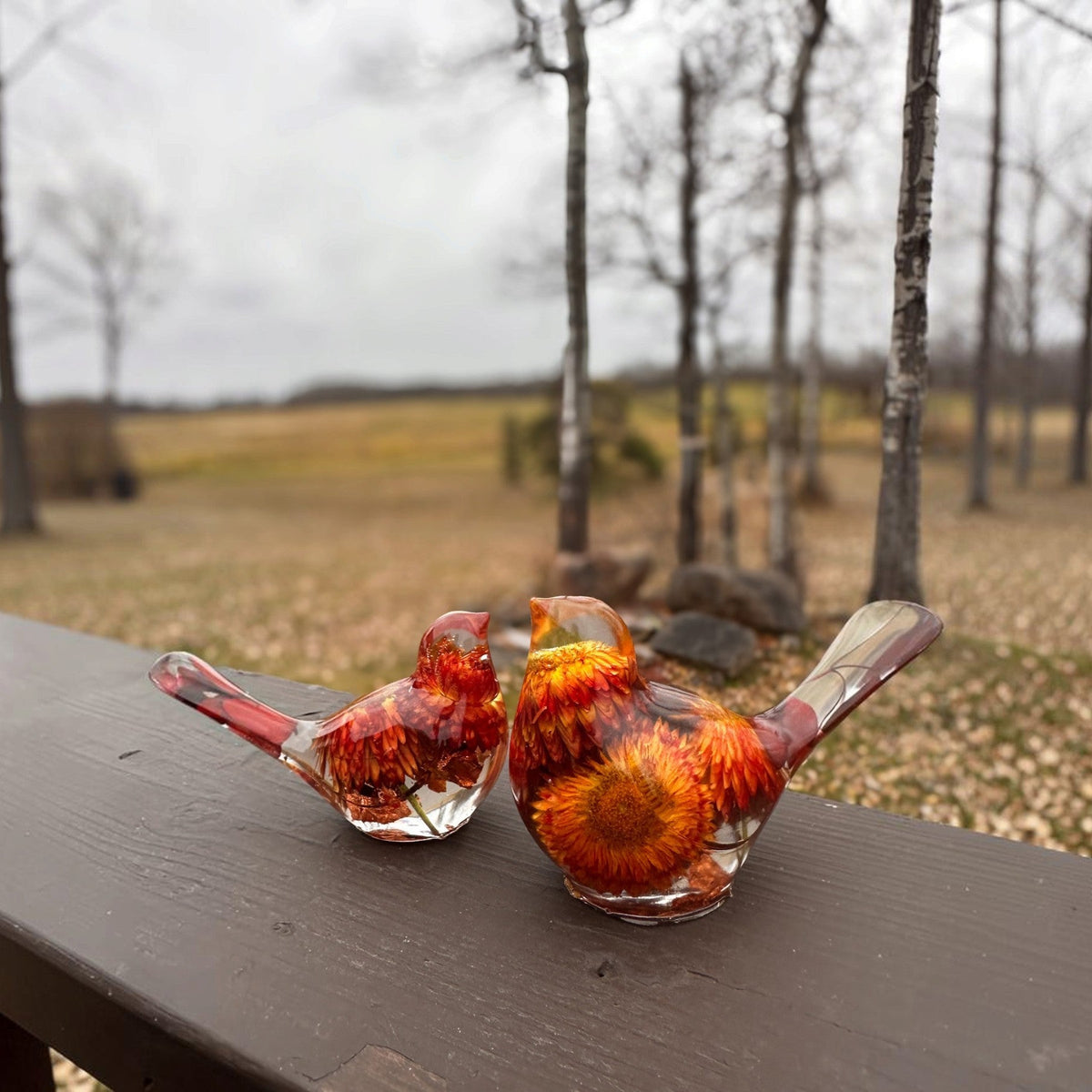 Resin Bird Pair with clear resin bodies, vibrant orange, red, and yellow dried flowers, and translucent tails.