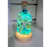 Seaside Glow - Seashells and Sand Resin Seaside Nightlight Bottle