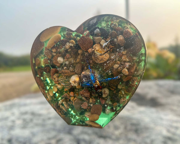 Dragonfly Heart - Nature Inspired Handmade Home Decor with LED Light