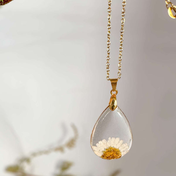 Daisy Teardrop Pendant - Real Dried Flower Jewelry in Silver and Gold 