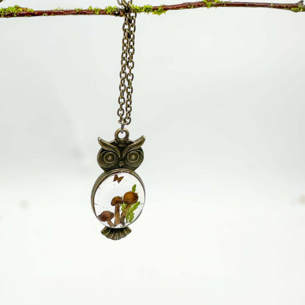 Enchanting Owl Mushroom Forest Pendant - Dried Ferns and Mushrooms
