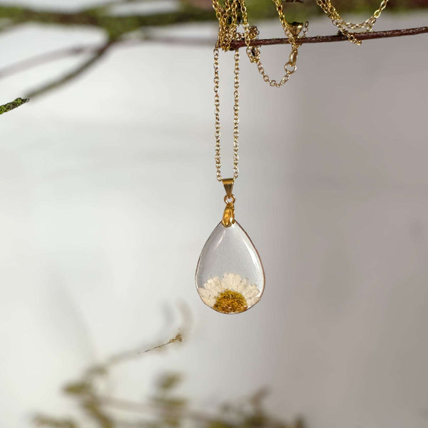 Daisy Teardrop Pendant - Real Dried Flower Jewelry in Silver and Gold 