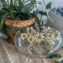 Daisy Dreams Epoxy Resin Tray: Handmade Nature-Inspired Elegance 