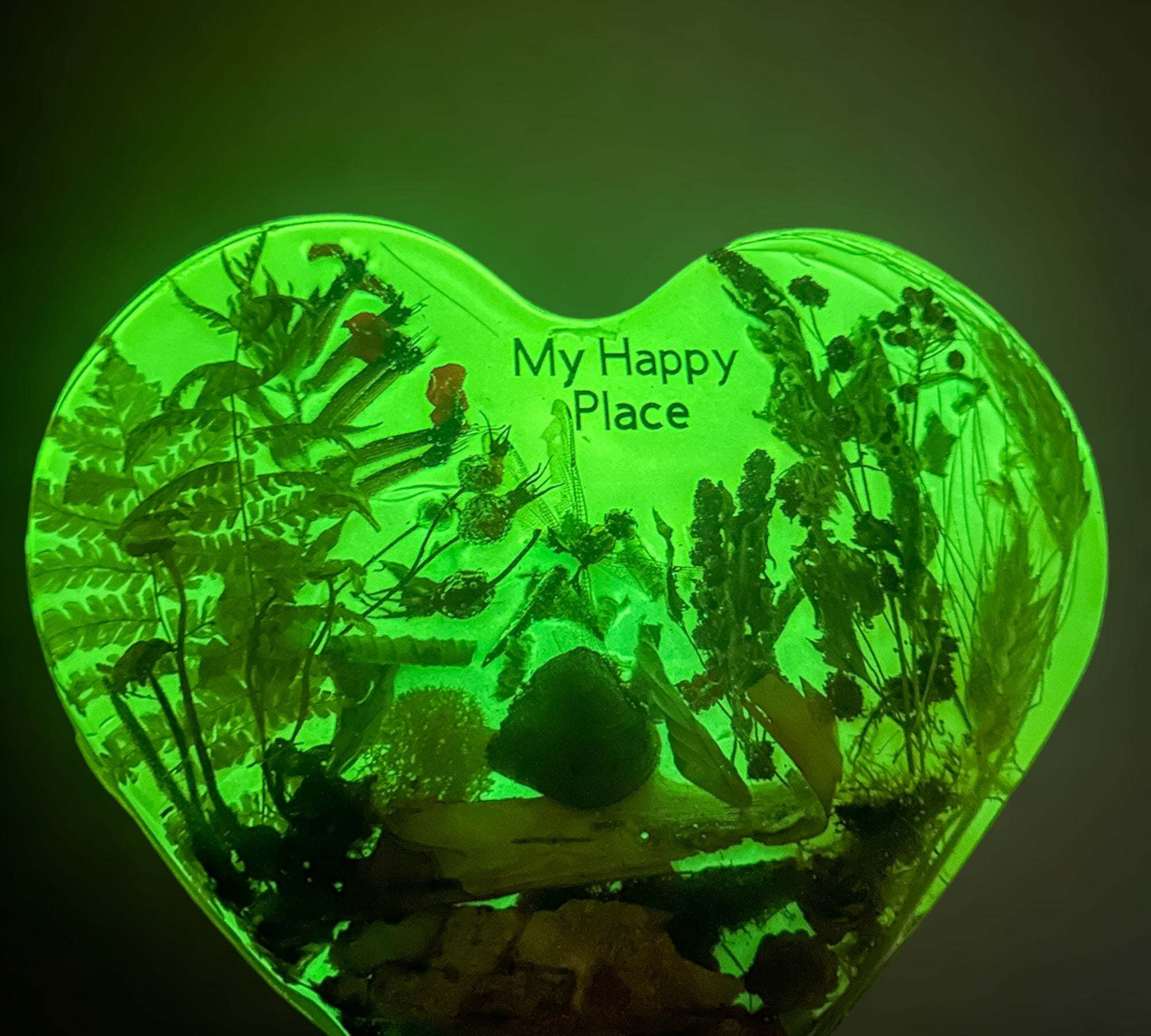 Botanical Wall Art "My Happy Place" Enchanted Serenity with LED Lights