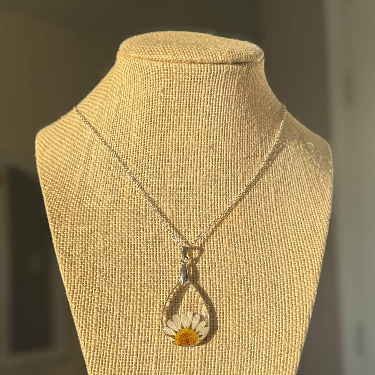 Daisy Teardrop Pendant - Real Dried Flower Jewelry in Silver and Gold 