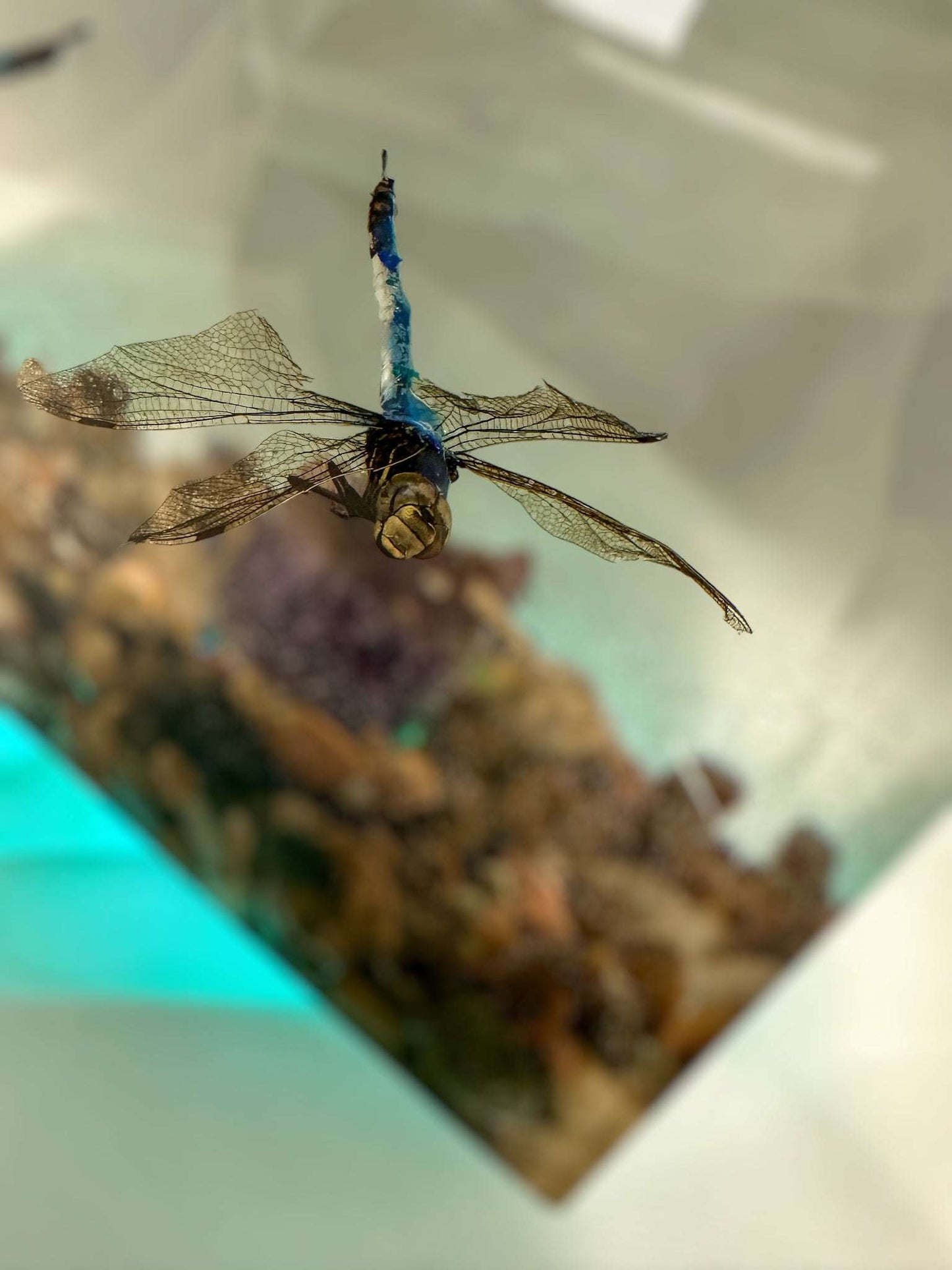  Dragonfly Art: Nature Inspired Home Decor & Unique Gift Idea