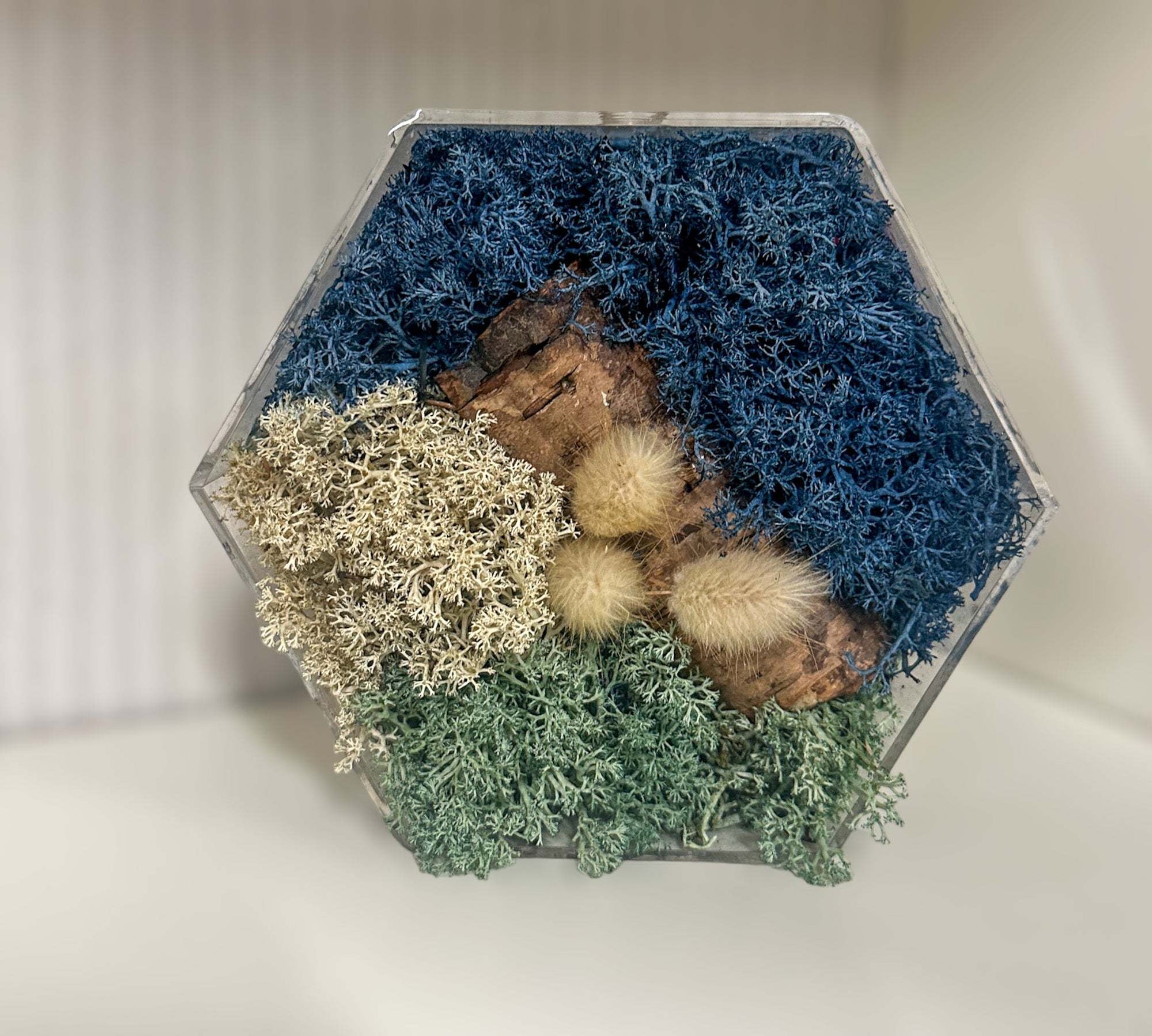 Moss Art - Mini Hexagon Forests with real Dried Flowers & Moss