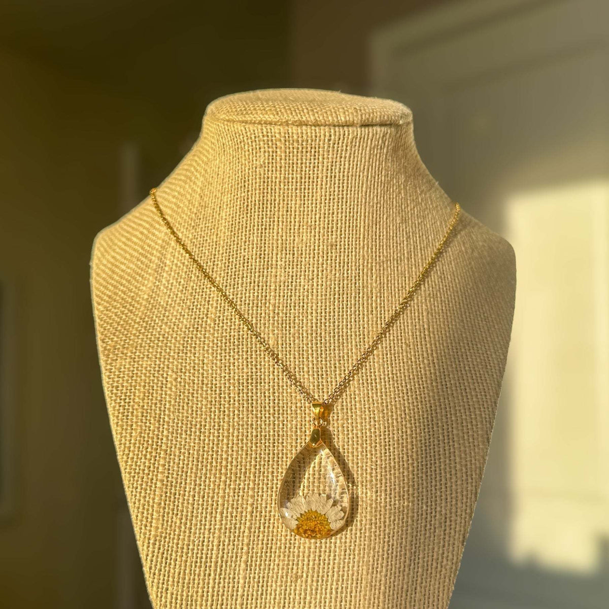 Daisy Teardrop Pendant - Real Dried Flower Jewelry in Silver and Gold 