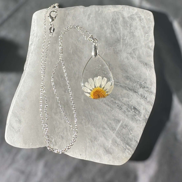 Daisy Teardrop Pendant - Real Dried Flower Jewelry in Silver and Gold 