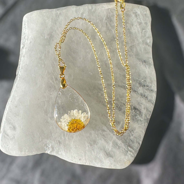 Daisy Teardrop Pendant - Real Dried Flower Jewelry in Silver and Gold 