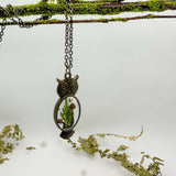 Enchanting Owl Mushroom Forest Pendant - Dried Ferns and Mushrooms