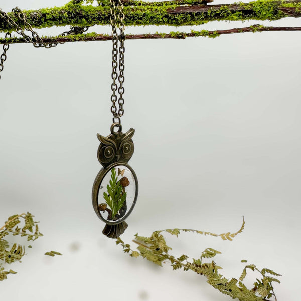 Enchanting Owl Mushroom Forest Pendant - Dried Ferns and Mushrooms