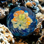 Whimsical Nemo Resin Paper Weight: Magical Home Decor Night Light