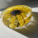 Golden Blooms Sunflower Coaster - Stylish Home Decor Sunflower Accent