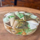 Seaside Serenity Epoxy Resin Coasters - Coastal Seashell Home Decor 