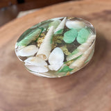 Seaside Serenity Epoxy Resin Coasters - Coastal Seashell Home Decor 
