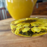 Golden Blooms Sunflower Coaster - Stylish Home Decor Sunflower Accent