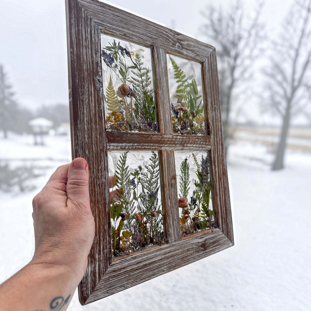 boreal forest window art in a weathered brown four-pane frame, with preserved green ferns, grasses and mushrooms