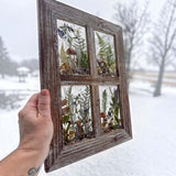 boreal forest window art in a weathered brown four-pane frame, with preserved green ferns, grasses and mushrooms