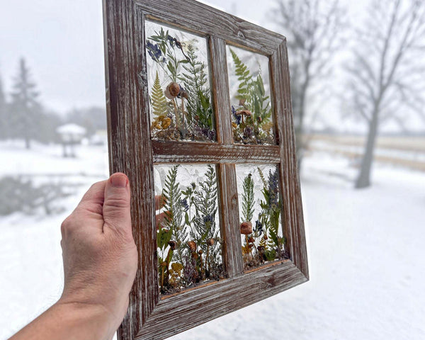 boreal forest window art in a weathered brown four-pane frame, with preserved green ferns, grasses and mushrooms