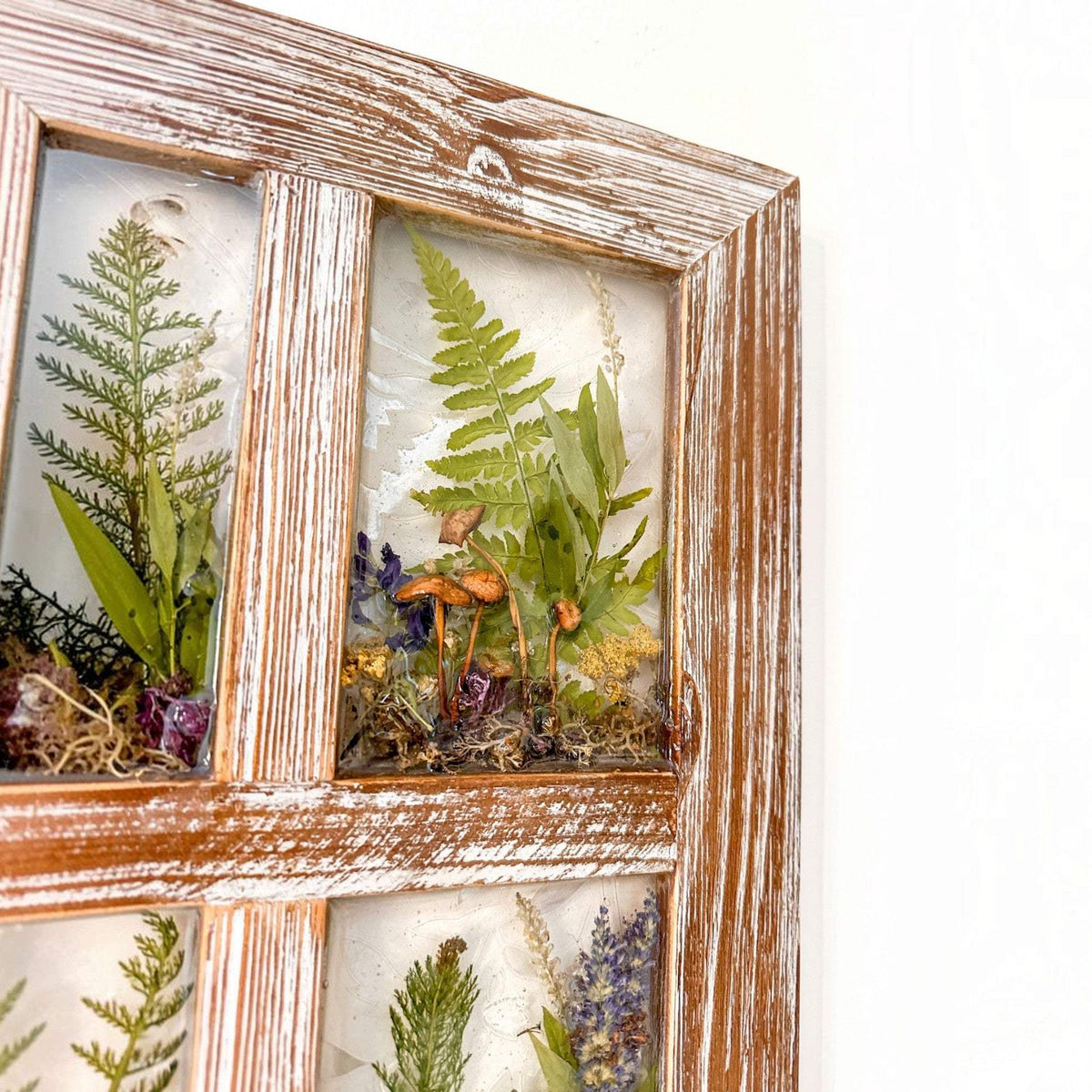 boreal forest window art in a distressed whitewashed wood frame with green ferns, mushrooms, moss and dried flowers in resin panes
