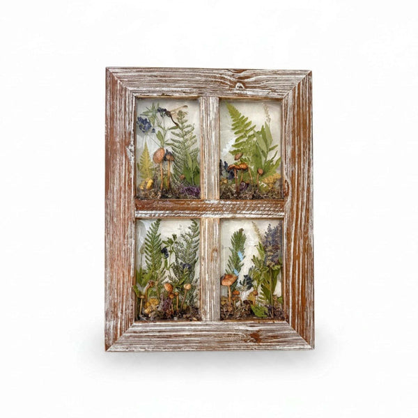 Boreal forest window art in a whitewashed wood frame, with four resin panes of mushrooms, ferns, moss and lichen