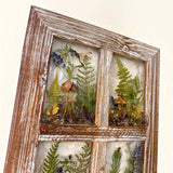 boreal forest window art in a distressed brown wood frame, with four resin panes of mushrooms, ferns and moss