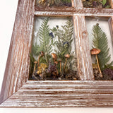 boreal forest window art in a distressed whitewashed wood frame with clear resin panes, mushrooms, ferns, moss and lichen